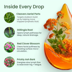 Nutrivena® Lymphatic Drainage Drops – Daily Wellness & Lymphatic Flow Support