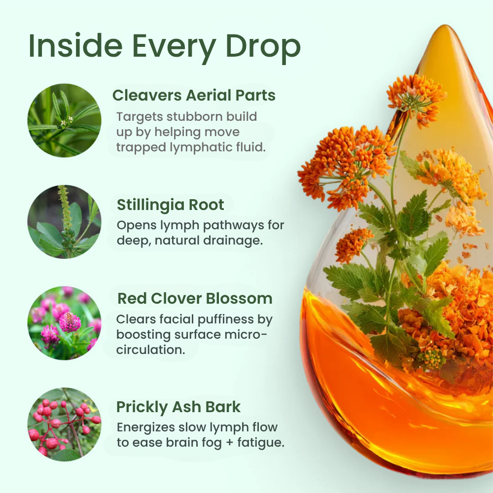 Nutrivena® Lymphatic Drainage Drops – Daily Wellness & Lymphatic Flow Support